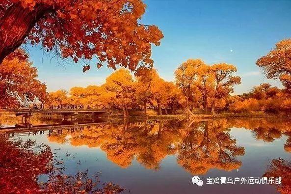 逃出猫头鹰屋