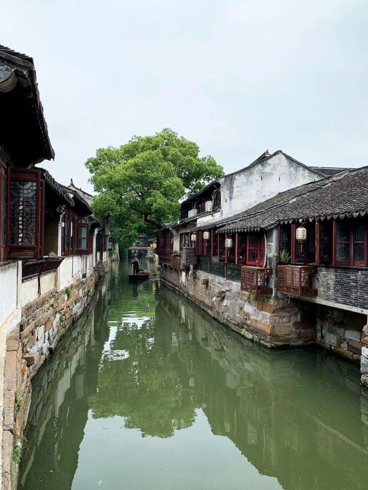 建行济宁泗水支行:银行服务无小事,金融助老有温度
